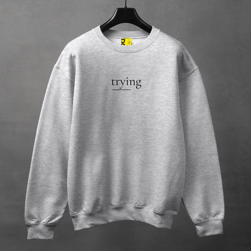 TRYING Minimal Sweatshirt – Soft Aesthetic Unisex Crewneck