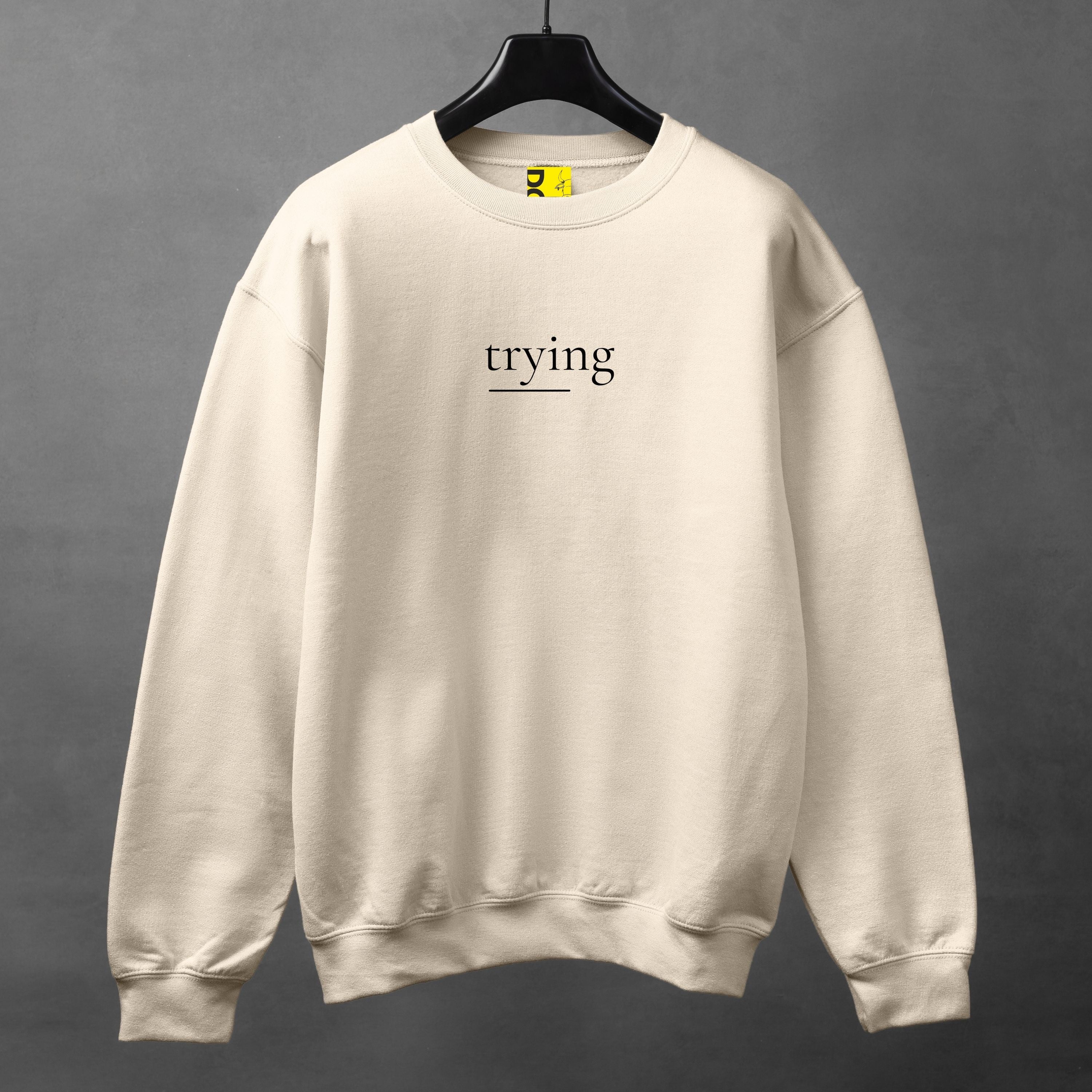 TRYING Minimal Sweatshirt – Soft Aesthetic Unisex Crewneck